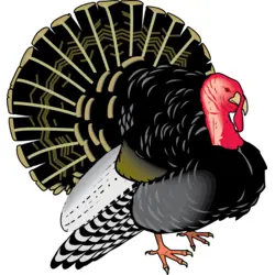 turkey Logo PNG Vector logo