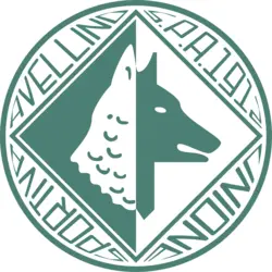 Unione Sportiva Avellino 1912 Logo PNG Vector logo