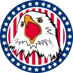 USA Eagle Logo PNG Vector logo