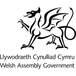 Welsh Assembly Government Logo PNG Vector logo