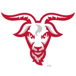 WPI Engineers Logo PNG Vector logo