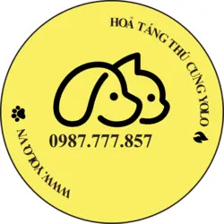 Yolo Pet Cremation Logo PNG Vector logo