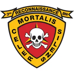 3rd Recon Battalion USMC Logo PNG Vector logo
