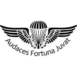 breve paraquedista Logo PNG Vector logo