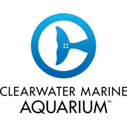 Clearwater Marine Aquarium Logo PNG Vector logo