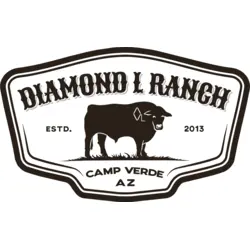 Diamond L Ranch Logo PNG Vector logo