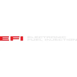 EFI Logo PNG Vector logo