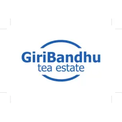 GiriBandhu Tea Estate Logo PNG Vector logo
