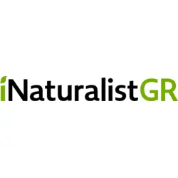 INaturalist Greece Logo PNG Vector logo