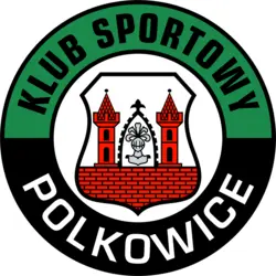 KS Polkowice Logo PNG Vector logo