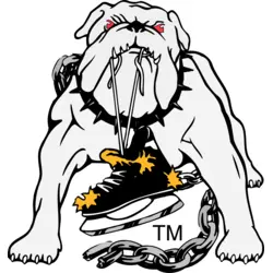 Long Beach Ice Dogs Logo PNG Vector logo