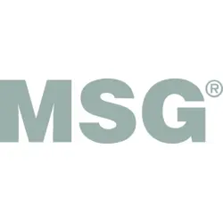 msg Logo PNG Vector logo
