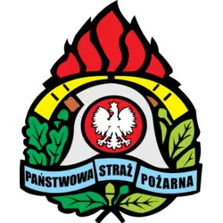 PANSTWOWA STRAZ POZARNA Logo PNG Vector logo