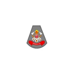 Patch Bombeiro Profissional Civil Logo PNG Vector logo