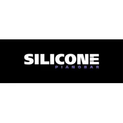 Silicone Piano bar Logo PNG Vector logo