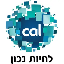 Visa CAL Logo PNG Vector logo